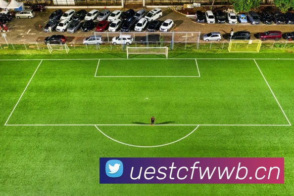 多媒体互动体验